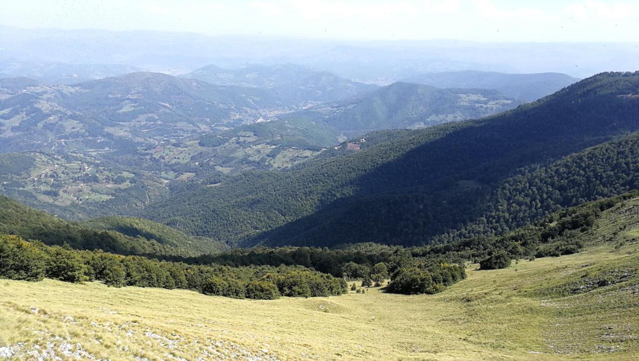Koliba Pcelica 1-Spa Bijelo Polje Zewnętrze zdjęcie