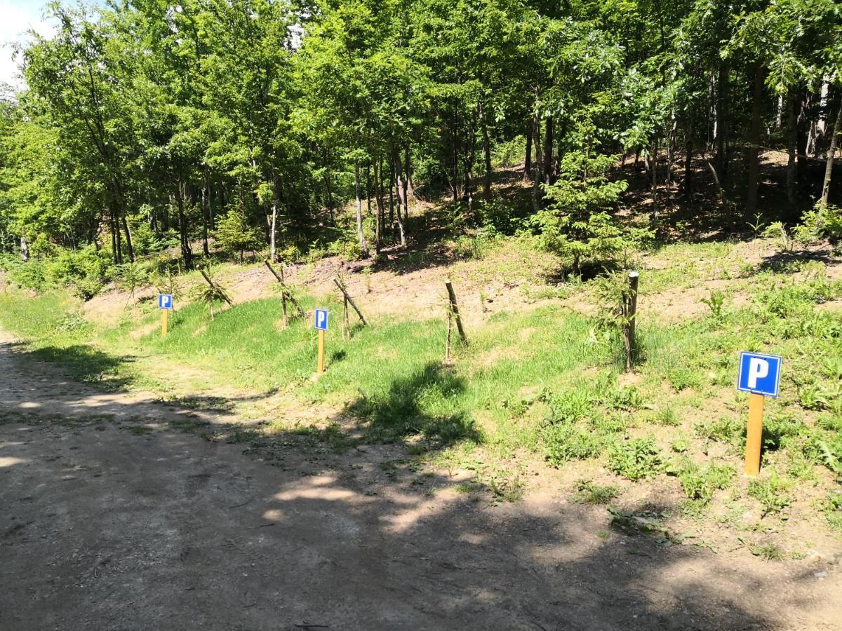 Koliba Pcelica 1-Spa Bijelo Polje Zewnętrze zdjęcie